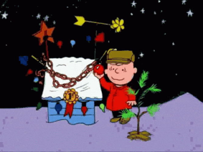 Charlie Brown Christmas Shocked GIF