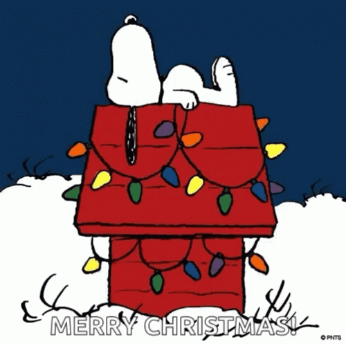 Charlie Brown Christmas Sleeping Snoopy  GIF