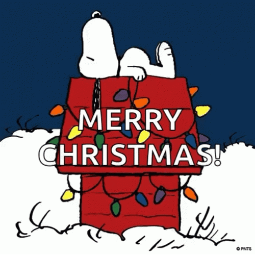 Charlie Brown Christmas GIF