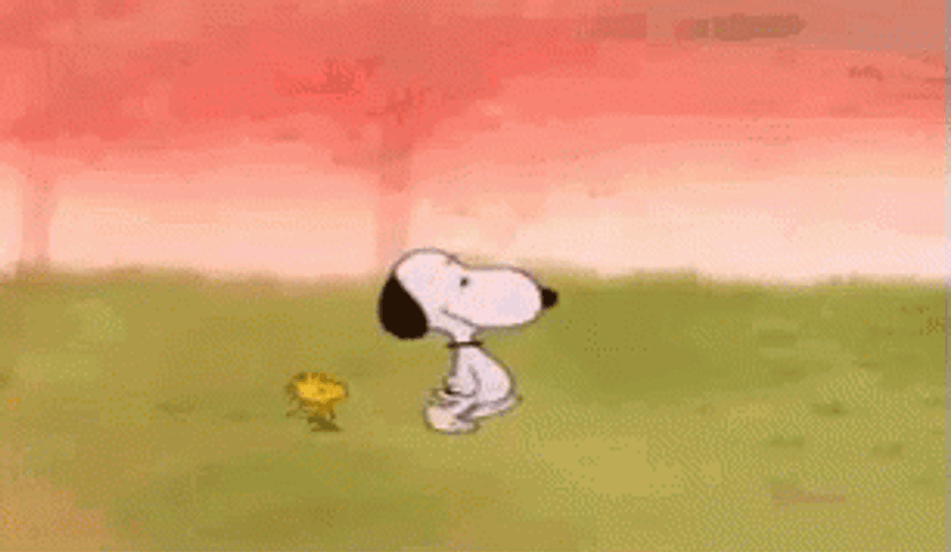 Charlie Brown Football GIF