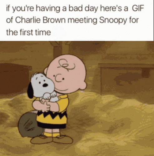 Charlie Brown Meets Snoopy For First Time GIF