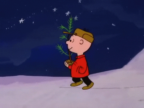 Charlie Brown Noser Carrying A Plant GIF