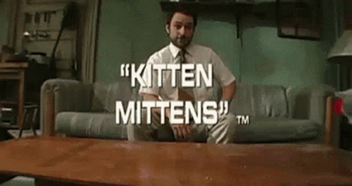 Charlie Day Kitten Mitten GIF