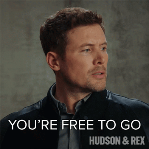 Charlie Hudson You're Free To Go GIF
