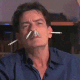 Charlie Sheen Winning Interview Meme GIF