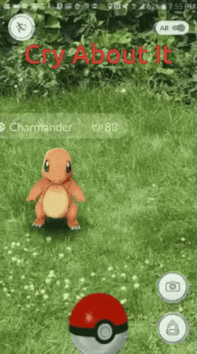 Charmander Standing Next to Poke Ball