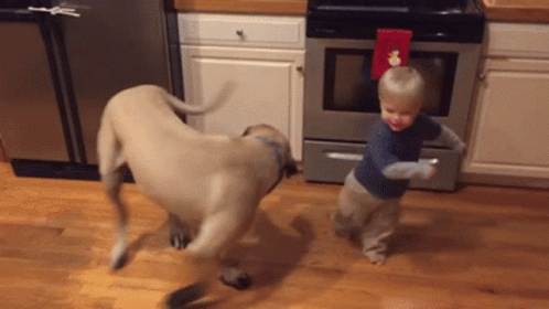 Charming Baby Dog Spinning Chasing Tail GIF