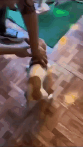 Charming Dog Spinning Chasing Tail GIF