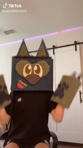 Chase Rutherford Tiktok Fun Costume GIF