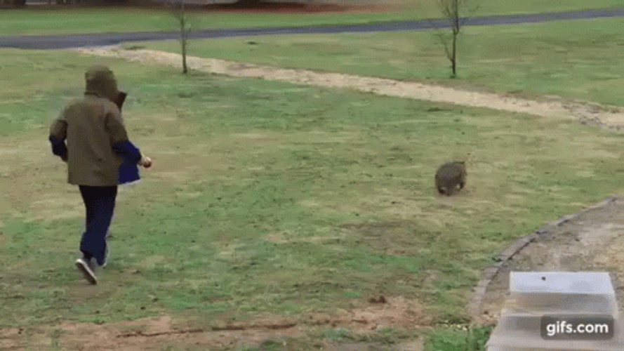 Chasing GIF