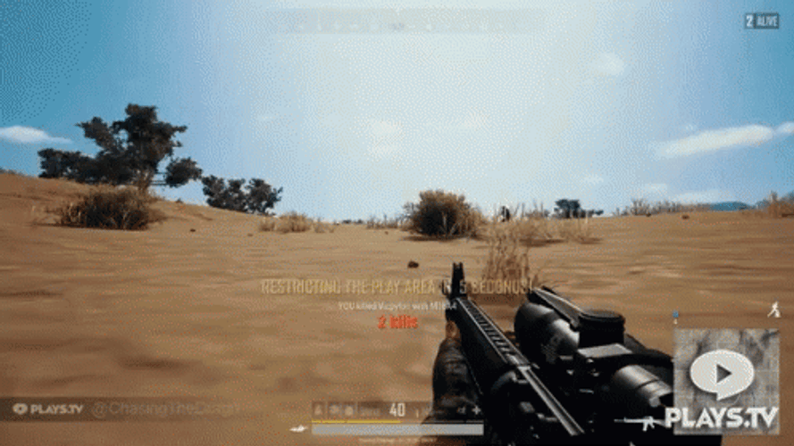 ChasingTheDrgn Take The Winner Winner Chicken Dinner GIF