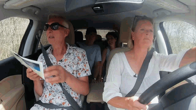 Chateau Meiland Martien Meiland Road Trip GIF
