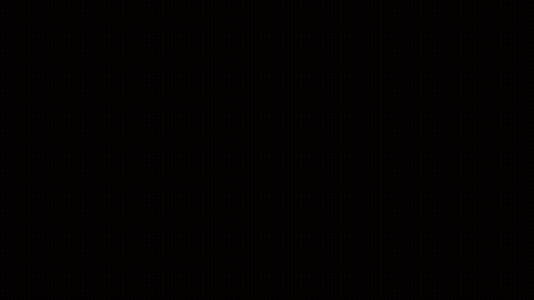 Chaupiquelopecio - Schlapeirytockrond (0.75X) GIF