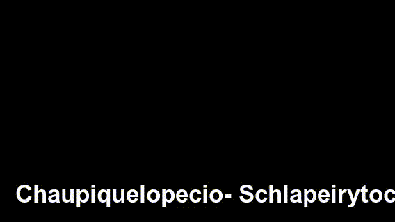 Chaupiquelopecio - Schlapeirytockrond