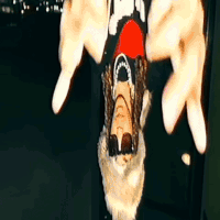 Che Cheromani GIF