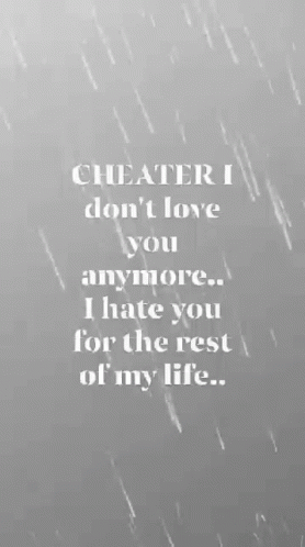 Cheater I Don't Love You Anymore Hate You For The Rest Of My Life