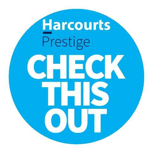 Check This Out Sticker