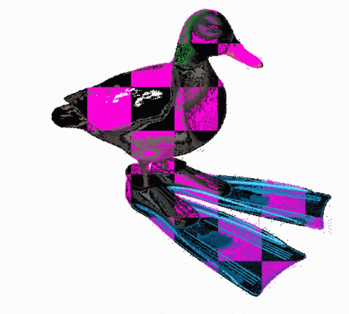 Checkered Duck Spinning GIF