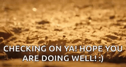 Checking In You Hope You Are Doing Well GIF