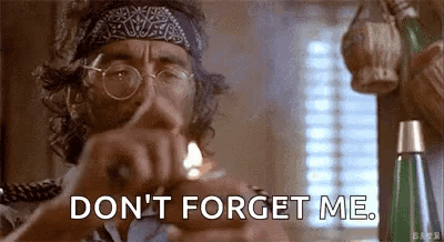 Cheech And Chong Don't Forget Me GIF