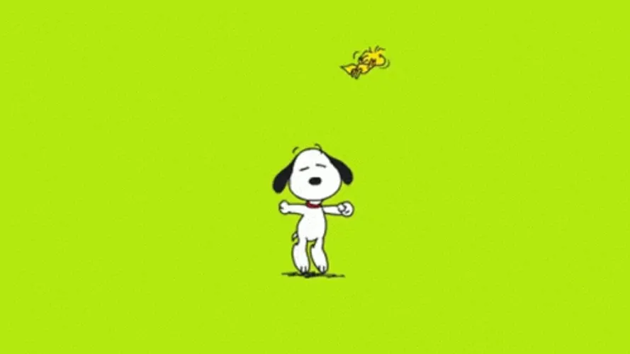 Snoopy Dance