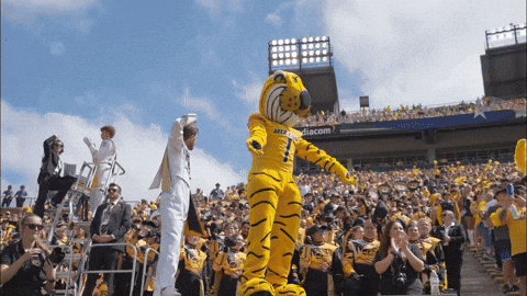 Cheering Mizzou Mascot GIF
