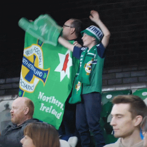 Cheering Northern Ireland Audience GIF