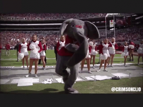 Cheerleaders And Elephant Mascot On Field @Crimsonclio GIF
