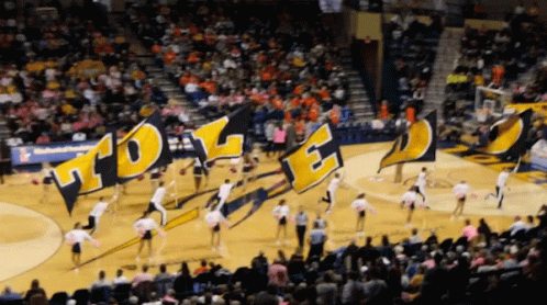 Cheerleaders Holding TDL Flags
