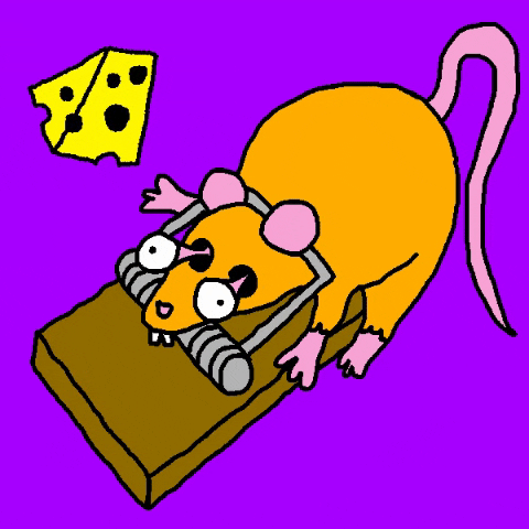 Cheese Death Trap For Rat GIF