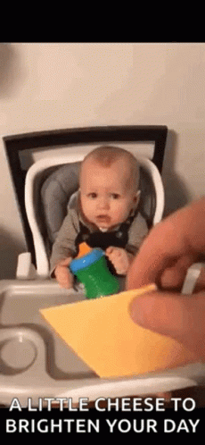 Cheese Face Smack Funny Meme GIF