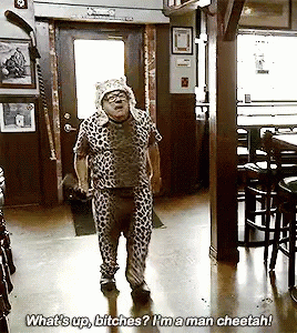 Cheetah Costume What's Up GIF
