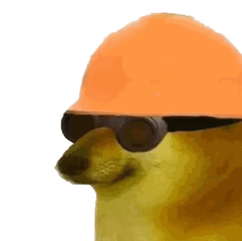Cheetah in Hard Hat and Sunglasses