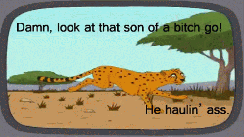Cheetah Running On The Tv Screen GIF
