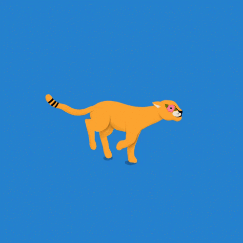 Cheetah Running With Blue Screen Background GIF
