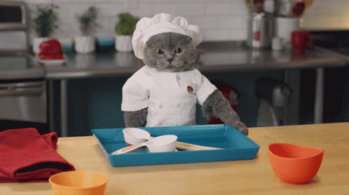 Chef Kitty Throwing The Dishes GIF