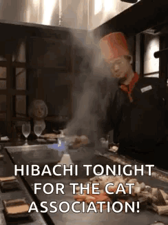 Chef Cooking Hibachi Tonight for Cat Association