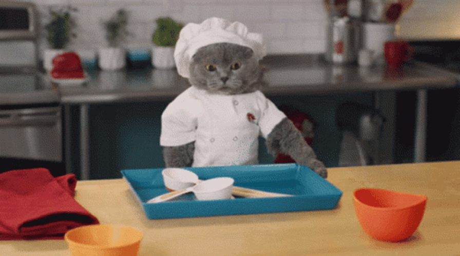 Chef Kitty Throwing The Dishes GIF