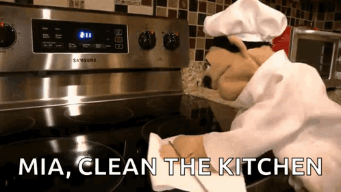 Chef Puppet Cleaning Samsung Stove