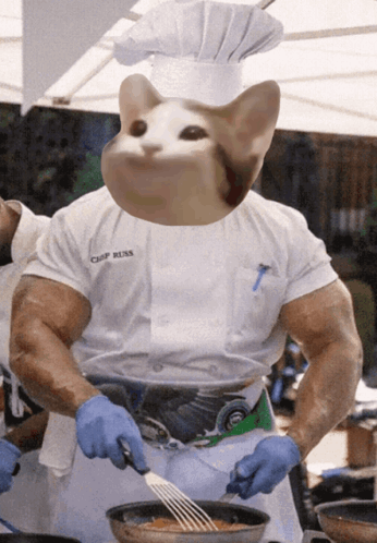 Chef With Cat's Head