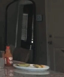 Chelsea Green Surprised Breakfast GIF