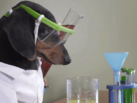 Chemistry Science Experiment Dog Scientist GIF