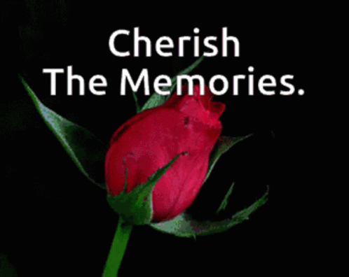Cherish The Memories GIF