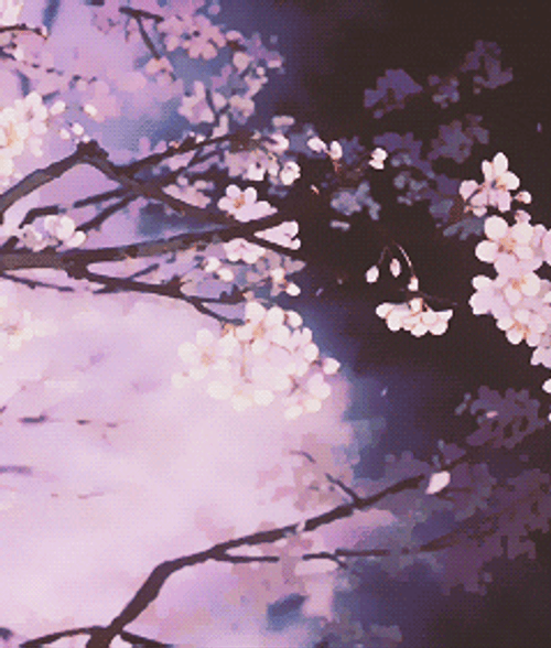 Japanese high school and cherry blossom blossom | Anime scenery wallpaper,  Anime scenery, Anime cherry blossom