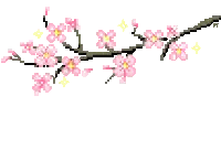 Cherry Blossom Branch with Pink Flowers
