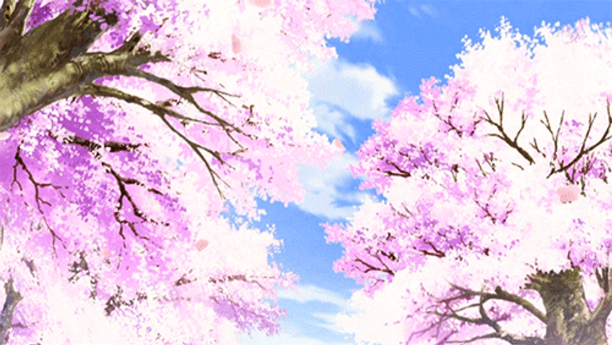 Cherry Blossom Alderiate Flute GIF