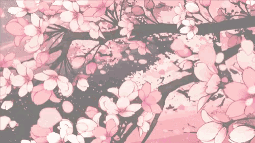 Cherry Blossom Gif GIF
