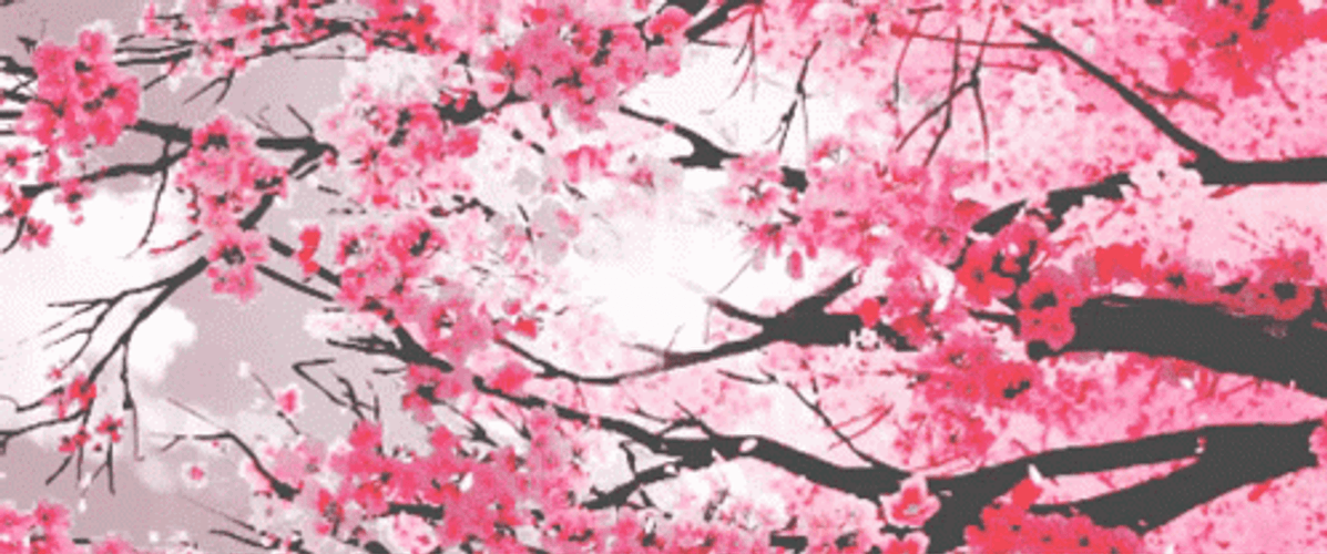 Cherry Blossom Pink Butterflies GIF