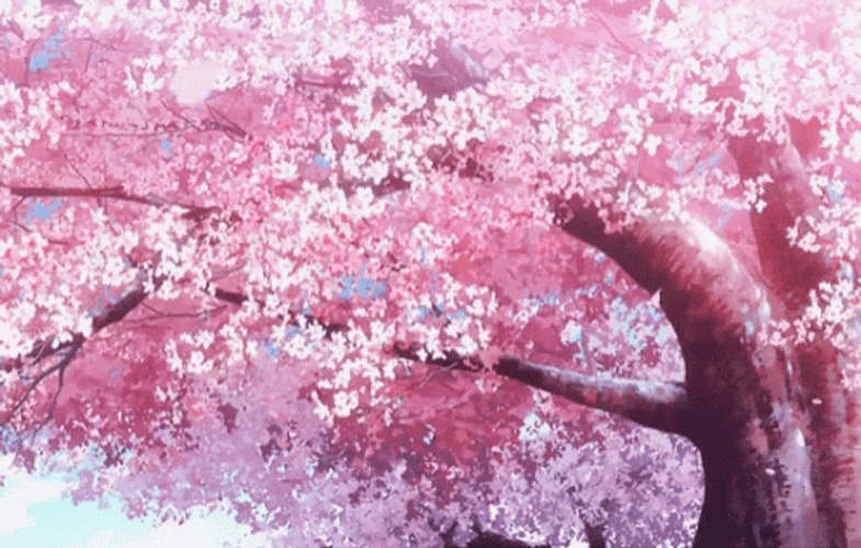 Cherry Blossoms Sakura GIF by Degonia on DeviantArt