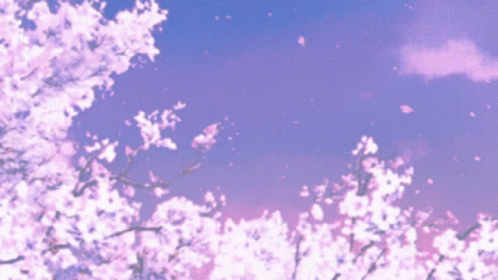 Cherry Blossoms Are Falling From A Tree With A Purple Sky In The Background GIF